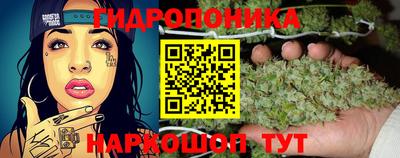 трава Краснодар